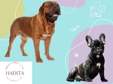 Очищувач для лап собак - гігієна для подушечок лап (Синій, L)