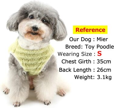 Теплий флісовий пуловер для собак Zunea, зимовий одяг для цуценят, куртка з D-поточкою, для чихуахуа, йоркширського тер'єра, XS/S, зелений
