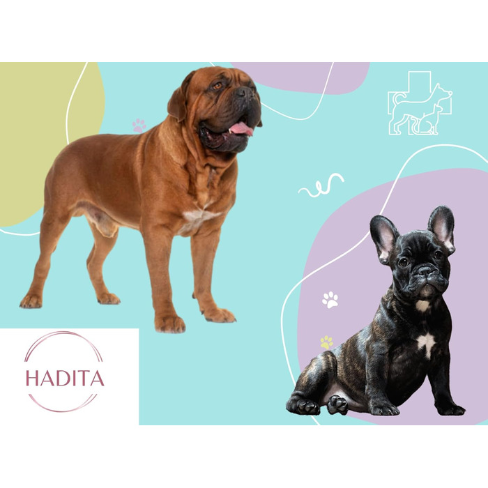 Очищувач для лап собак - гігієна для подушечок лап (Синій, L)