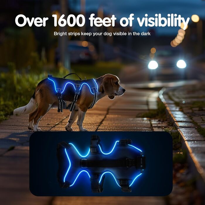 Світловідбиваючий нашийник для собак з LED підсвічуванням, перезаряджуваний, з м'якою ручкою, 3 регульовані розміри, водонепроникний, для середніх та великих собак, зелений (блакитний, XL)