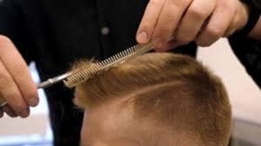 Професійні ножиці для волосся Focus World 6,5 дюймів (FW--01) - Японська сталь, срібло