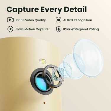 Розумна годівниця для птахів Birdfy з камерою 1080P, сонячною панеллю та ШІ-розпізнаванням 6000+ видів птахів, водонепроникна дерев'яна годівниця з App Live-переглядом
