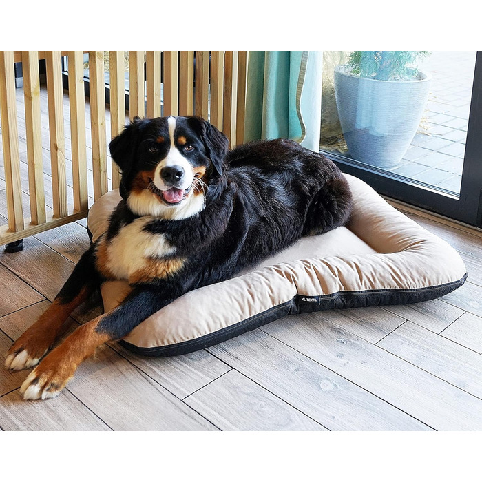 Клео - лежанка для собак середніх розмірів, 90x70 см, бежева, знімний чохол, водонепроникна, для собак великих порід