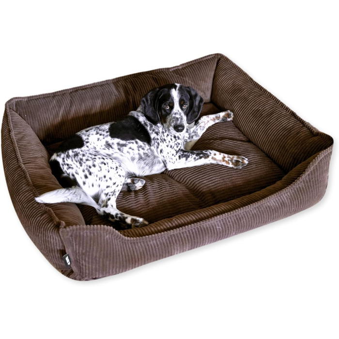 М'яке собаче ліжко 4L Textil Hugo Premium-LINE: ортопедичне, з memory foam, 60x40 см, для маленьких собак