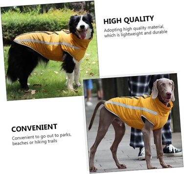 Теплий зимовий одяг для собак: куртка, плащ для прогулянок та відпочинку | iBasenice