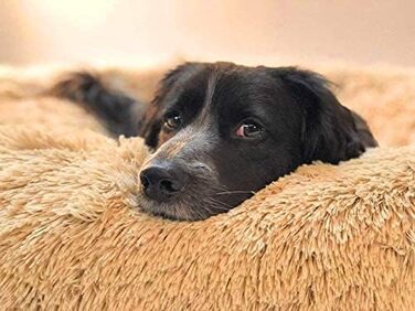 Кругле ліжко для домашніх тварин Segle Deluxe: м'яке, зручне, для собак та котів, 55x55x18 см