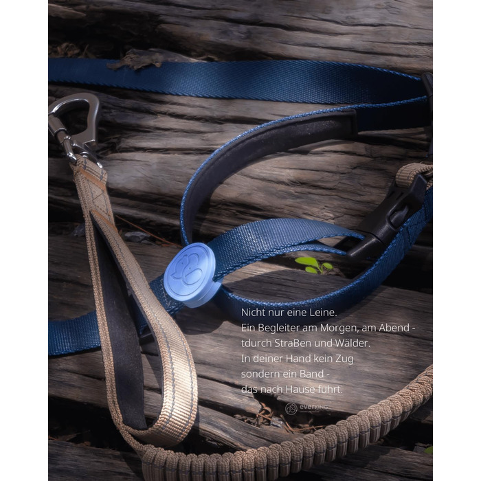 EVERKING 6-в-1 повідок для собак з поясом – повідь для бігу та прогулянок, з двома ручками, антишокова пружина, кріплення для авто, альтернатива шлейці та повідку (синій, сірий, блакитний, хакі, чорний)