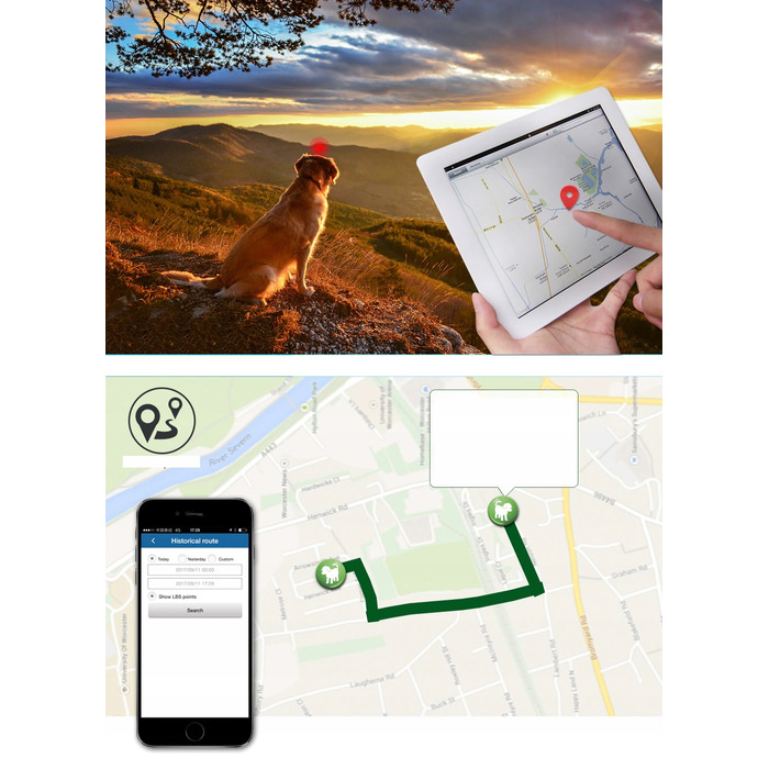 GPS-нашийник локатор TK909 для собак та котів, SOS, керування через додаток, без абонплати