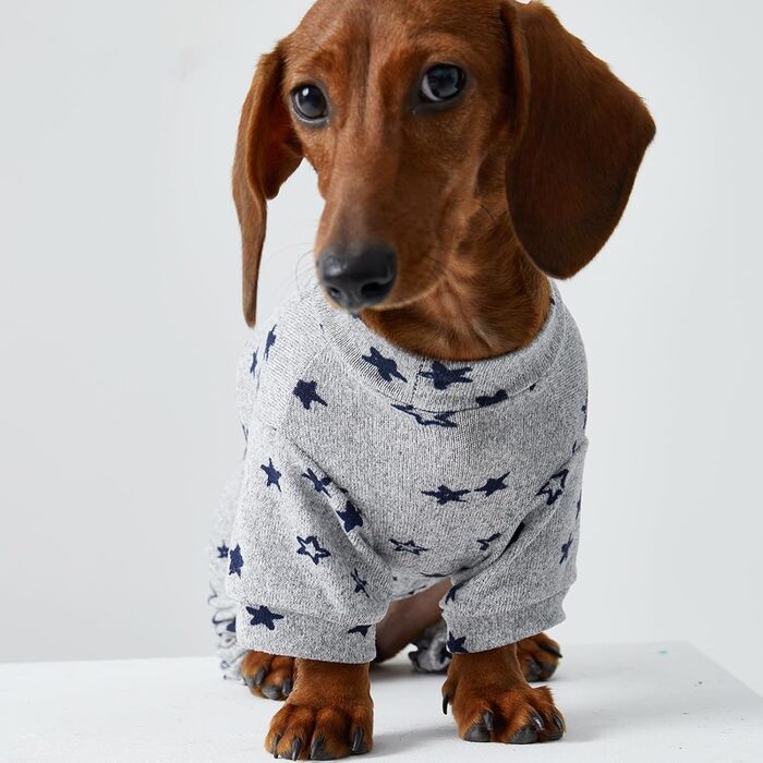 Комбінезон для собак Дакель, легкий, тонкий, теплий, з принтом, для цуценят, піжама сірого кольору L