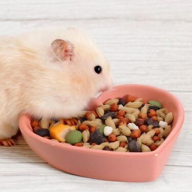 Набір мисок для тварин: хом'яки, їжаки, миші, морські свинки, серцеподібна форма, 3 шт.