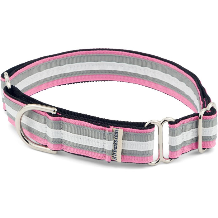 If It Barks Martingale нашийник для собак, нейлоновий, регульований, 2,5 см, малий (28-38 см), вироблено в США, колір Spunky