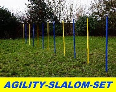 Набір для тренування Wuzzmann Agility - Slalom (синій/жовтий), гнучкі стійки