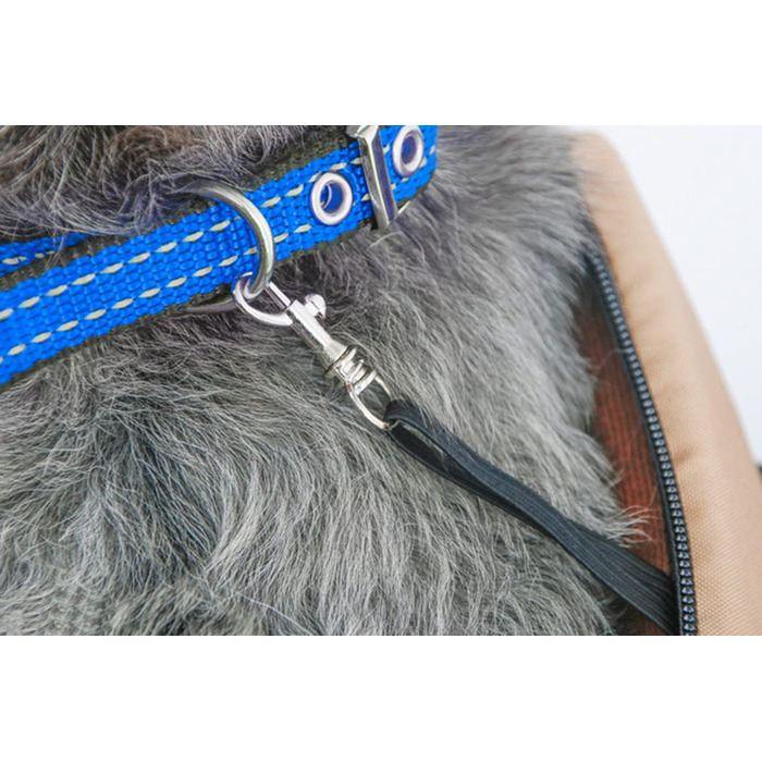 Сумка-переноска для собак маленьких порід, чорна: зручна та портативна переноска для тварин, ідеальна для подорожей та прогулянок на свіжому повітрі.