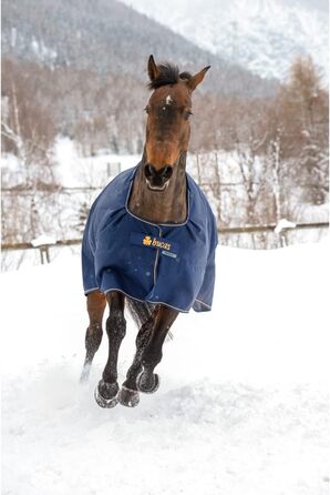 Зимова кінська попона Bucas Irish Turnout 300 г, navy/gold, Rip-Stop, Silk-feel