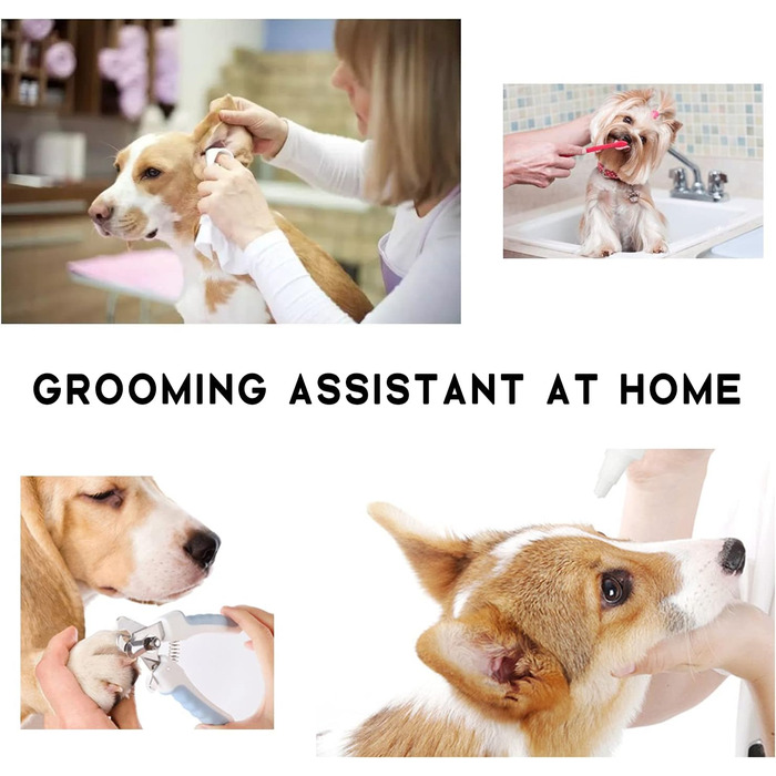 Набір для догляду за домашніми тваринами Augegel: гамак для собак та котів, інструменти для грумінгу (набір)