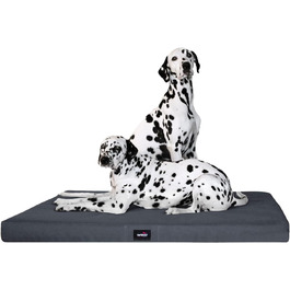 розмір: 120x90 см