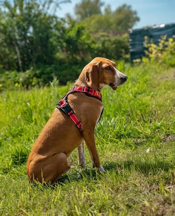 Шлейка для собак Ionto з відбиваючим матеріалом, м'яка, червона, розмір S, з двома кільцями, 4 ременями та гумовим ручним захопленням
