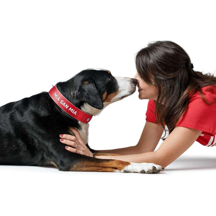 Нашийник для собак Hunter Neopren Reflect FC Bayern München, сірий (червоний, S-M (45))