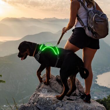 Сяюча LED шлейка для собак з ручкою, без натягу, розмір L, зелена