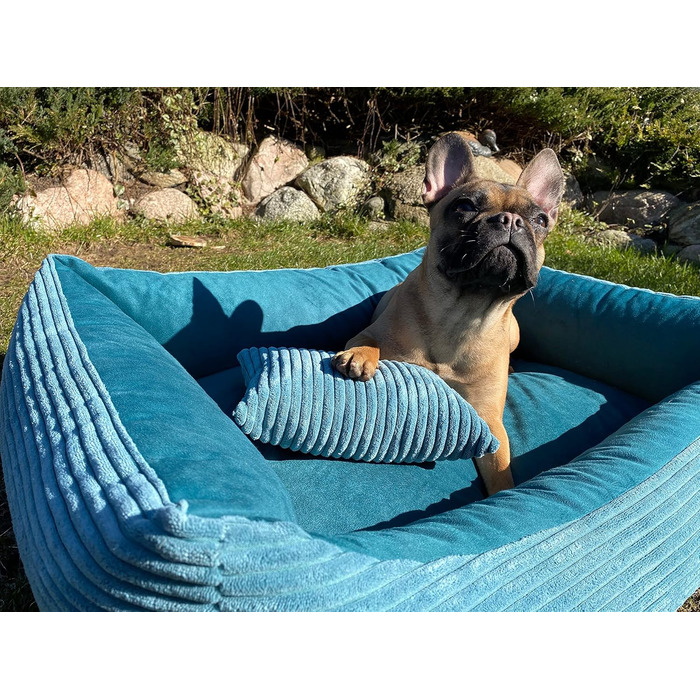 М'яке ліжко для собак 4L Textil Molly, корзина для собак, середні породи, 100x80 см, колір: бірюзовий