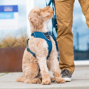 Шлея для собак DOG Copenhagen Comfort Walk Pro, мисливський зелений, розмір L