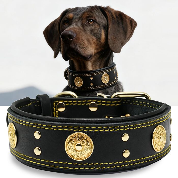 Нашийник для собак шкіряний Leder, 5 см, міцний, ручної роботи, L (38-49 см, золото-чорний)