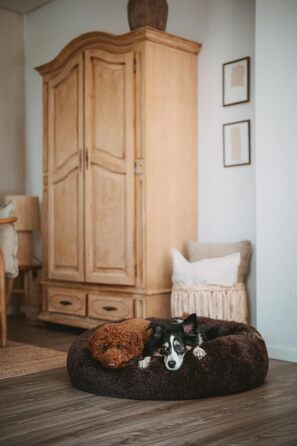 Кішечкове та собаче ліжко Hunter LOPPA, м'яке, з антиковзною основою, можна прати при 30°C, коричневий, розмір L