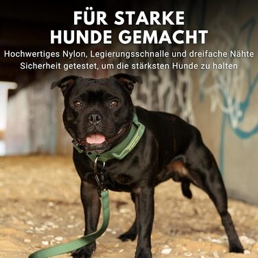 Тактичний нашийник для собак Spark Paws, армейський зелений, L, 5 см – міцний, преміум-якість, для великих і середніх порід