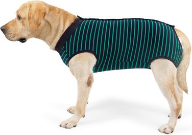 Комбінезон для собак, дихаючий, для захисту післяопераційних ран, альтернатива конусу, без шнура, післяопераційний (XXL, 1 шт., зелений)