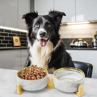 Підвищена годівниця для собак та котів з кераміки, 2x850 мл | Годівниця для маленьких собак, котів | Аксесуар для тварин