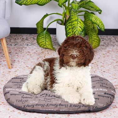 Ліжко для собак та котів FERPLAST - М'який килимок для собак середніх розмірів, 78 x 50 см, бавовна, бежевий