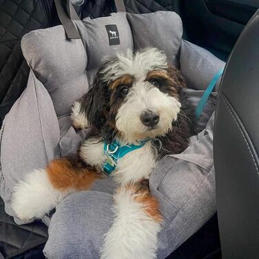 Автокрісло для собак JACKO & CO Premium, сіре, для тварин до 15,9 кг, з підстібкою та поводовцем