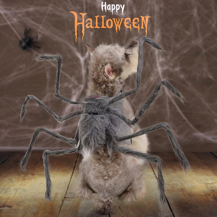 Костюм на Хелловін для тварин BT Bear: Павук, для собак, коричневий, розмір M