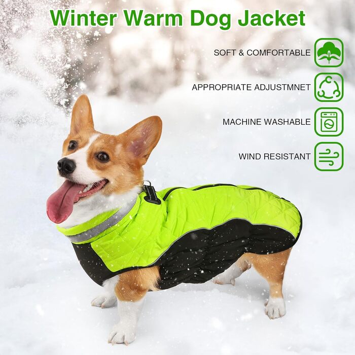 Зимова куртка для собак, водонепроникна, тепла, м'яка, вітрозахисна. З облаштуванням для повідка, світловідбиваюча, з блискавкою та регульованою застібкою. Для малих та середніх собак (Зелений, XL)