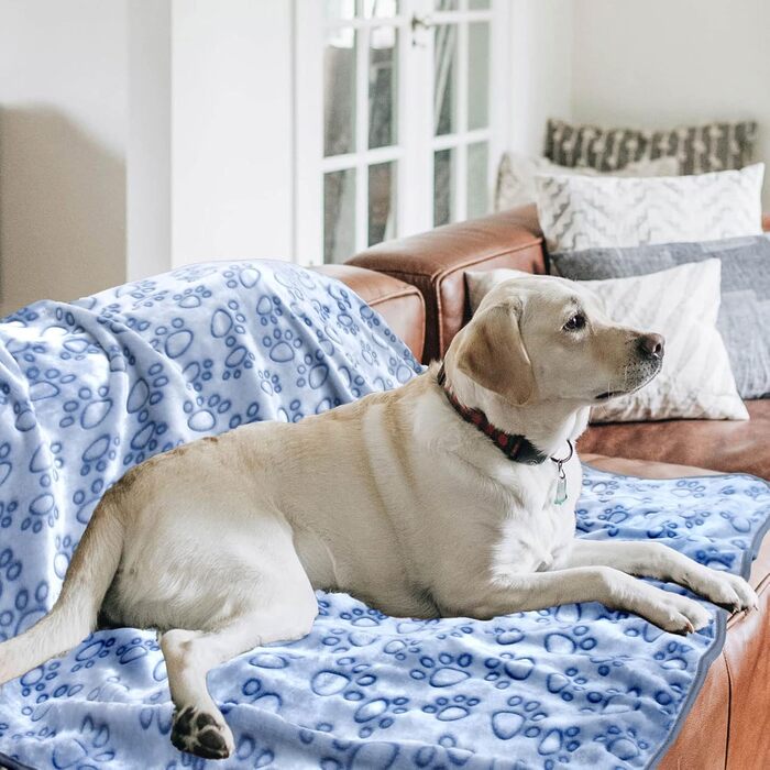 М'яка ковдра для собак та котів, 200x150 см, блакитна. Захист дивану, ковдра для подорожей.