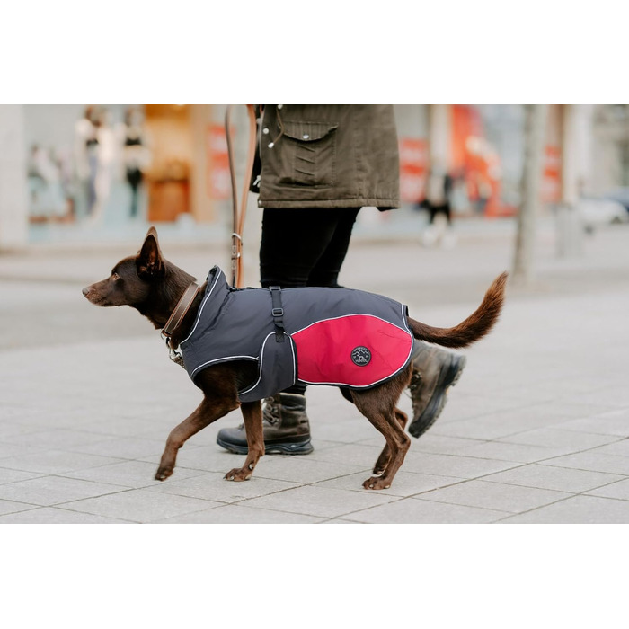 HUNTER Hundemantel Uppsala Allrounder - антрацит/червоний, водо- та вітронепроникний, знімний підклад, світловідбиваючі вставки, еластичні фіксатори, оптимальна посадка, розмір 35
