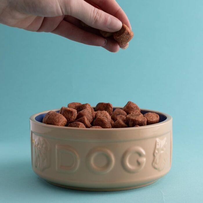 Миска для собак Mason Cash з порцеляни, з ручкою та синім написом, 15 см, 1 шт.