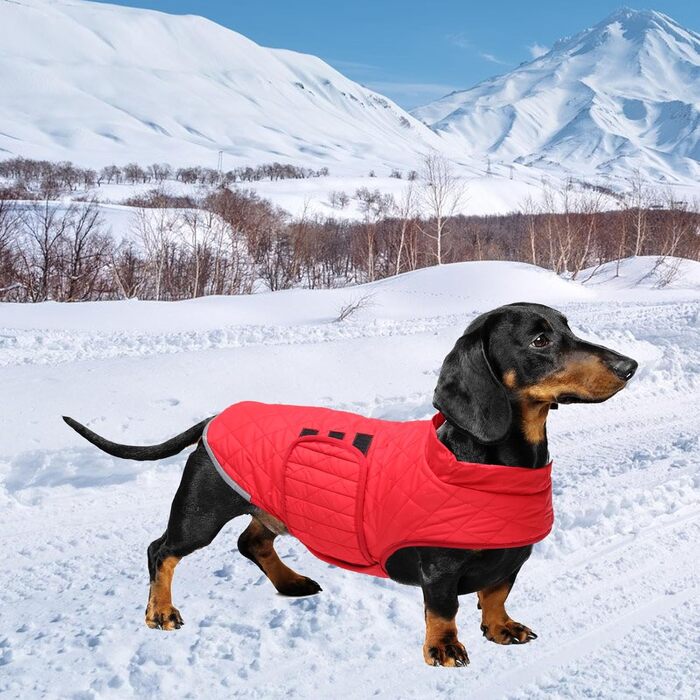 Водонепроникна зимова куртка для такси для собак Babepet з флісовою підкладкою, світловідбиваючий пуловер з отвором для шлейки, червоний, розмір L (спина: 45 см)