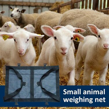 Гаммачок для собак та інших тварин EXBERT Mollet для грумінгу, догляду за шерстю, з ременями