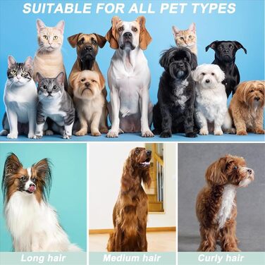 Пилсос для собак і котів з насадкою для грумінгу, 13000Pa, професійний набір для догляду за тваринами
