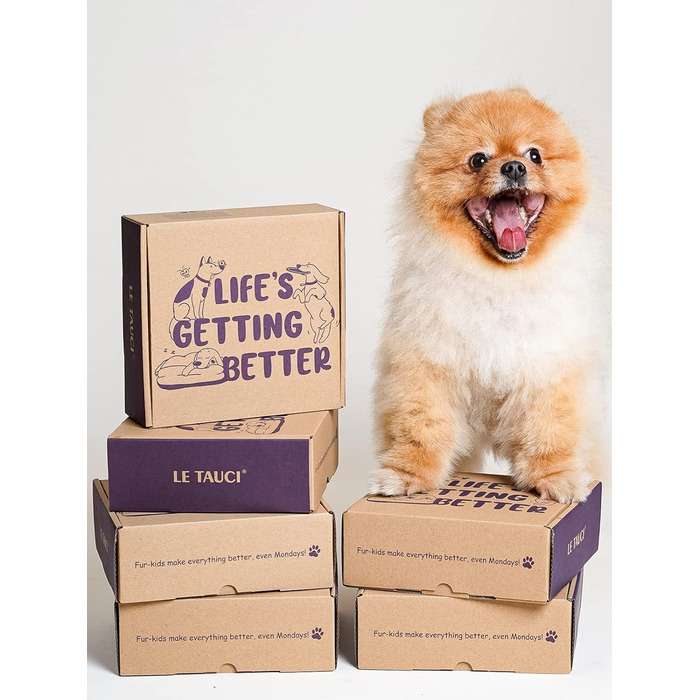 Таця для собак LE TAUCI з кераміки, антислизька таця для середніх та маленьких собак, повільне годування та розваги, таця для їжі з неслизьким дизайном (Лабіринт, фіолетовий, S-350 мл)