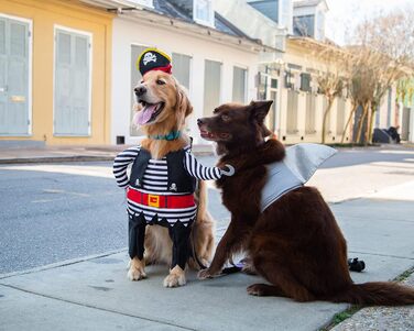Костюм акули для собак Pet Krewe | Вечірній костюм для собак, святкування дня народження, національного дня котів, Хелловін | Для маленьких та великих собак