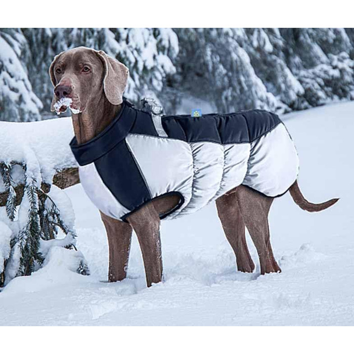Зимова жилетка для собак Gepolsterte Hundejacke з металевою застібкою для повідка, водонепроникна куртка з наповнювачем для великих собак (чорний, 2XL для 12-15 кг)