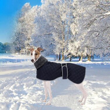 Зимовий водонепроникний жилет для хортів Whippet/Lurcher, тепла собача куртка з флісовою підкладкою, регульована, персоналізована, синя, XXXL, для прогулянок і активного відпочинку
