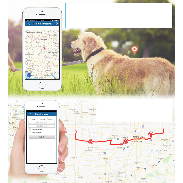 GPS-нашийник локатор TK911 для собак та котів з підтримкою SOS та мобільного додатка