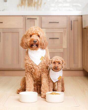 Силіконова підкладка для корму Remy+Roo для собак і котів, преміум, водонепроникна, нековзка, миється в посудомийці, для їжі та води, пилючно-синя