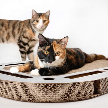 CanadianCat Company XXL ігровий майданчик для котів 85x54x5,8 см із вбудованим картонним дряпаком, котяча іграшка, світло-сіре дерево