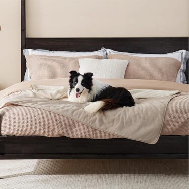 Водонепроникний коврик для собак LE SURE, великі породи - 100x80 см, Outdoor, миючий, з Sherpa Fleece, для собак та котів, (XL 127x152 см, кремовий)