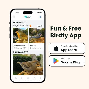 Розумна годівниця для птахів Birdfy з камерою 1080P, сонячною панеллю та ШІ-розпізнаванням 6000+ видів птахів, водонепроникна дерев'яна годівниця з App Live-переглядом