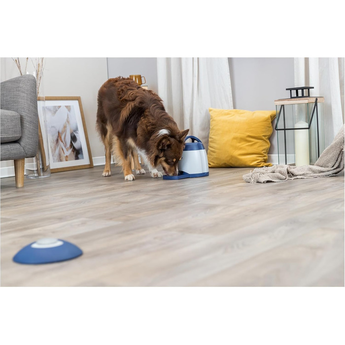 Інтерактивна іграшка для собак TRIXIE Memory Trainer 3.0, інтелектуальна гра, 20x24 см, для розвитку розумових здібностей, безпечна, стратегії, для зайнятості домашніх улюбленців
